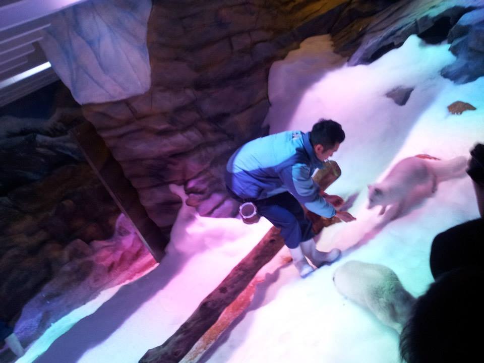 1005974_545817315453900_457764998_n